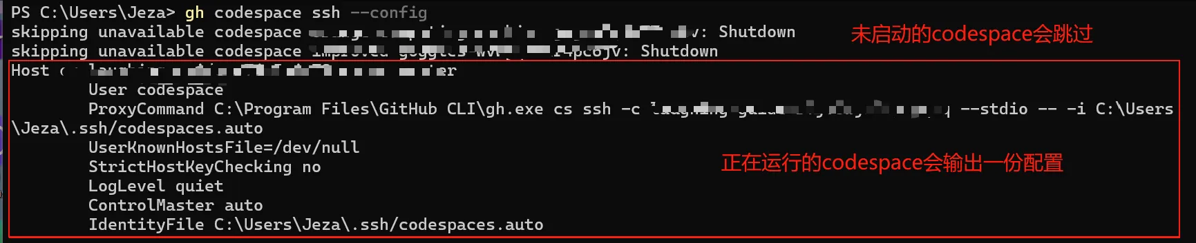 `gh codespace ssh --config`输出截图