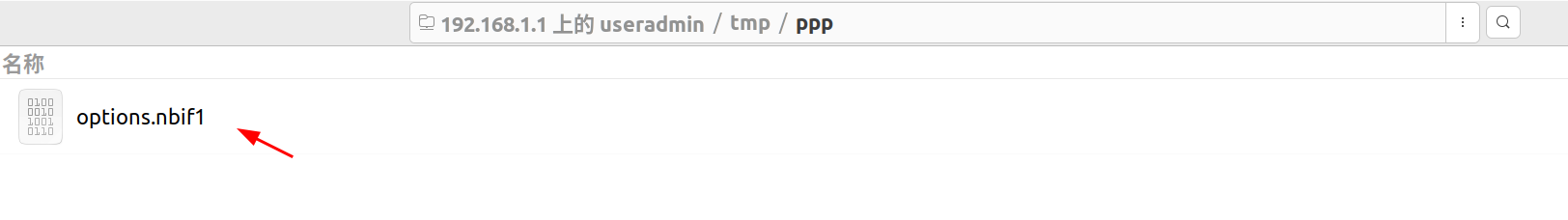 `/tmp/ppp`文件夹